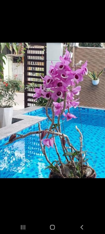 Riverlife Homestay Hoi An Dış mekan fotoğraf