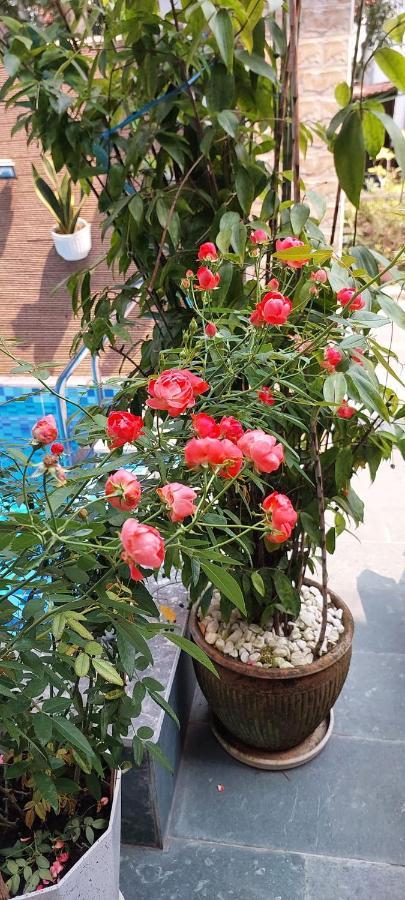 Riverlife Homestay Hoi An Dış mekan fotoğraf